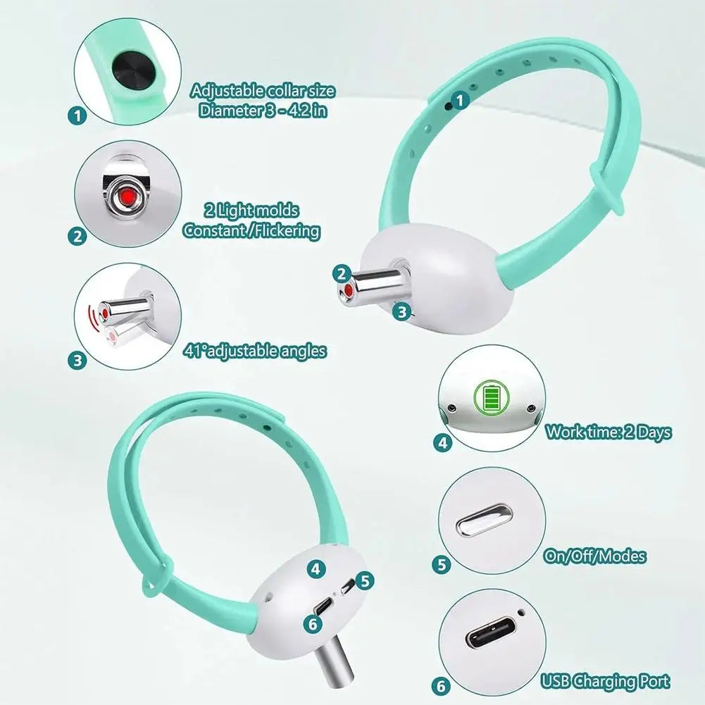 Collier laser interactif rechargeable pour chat