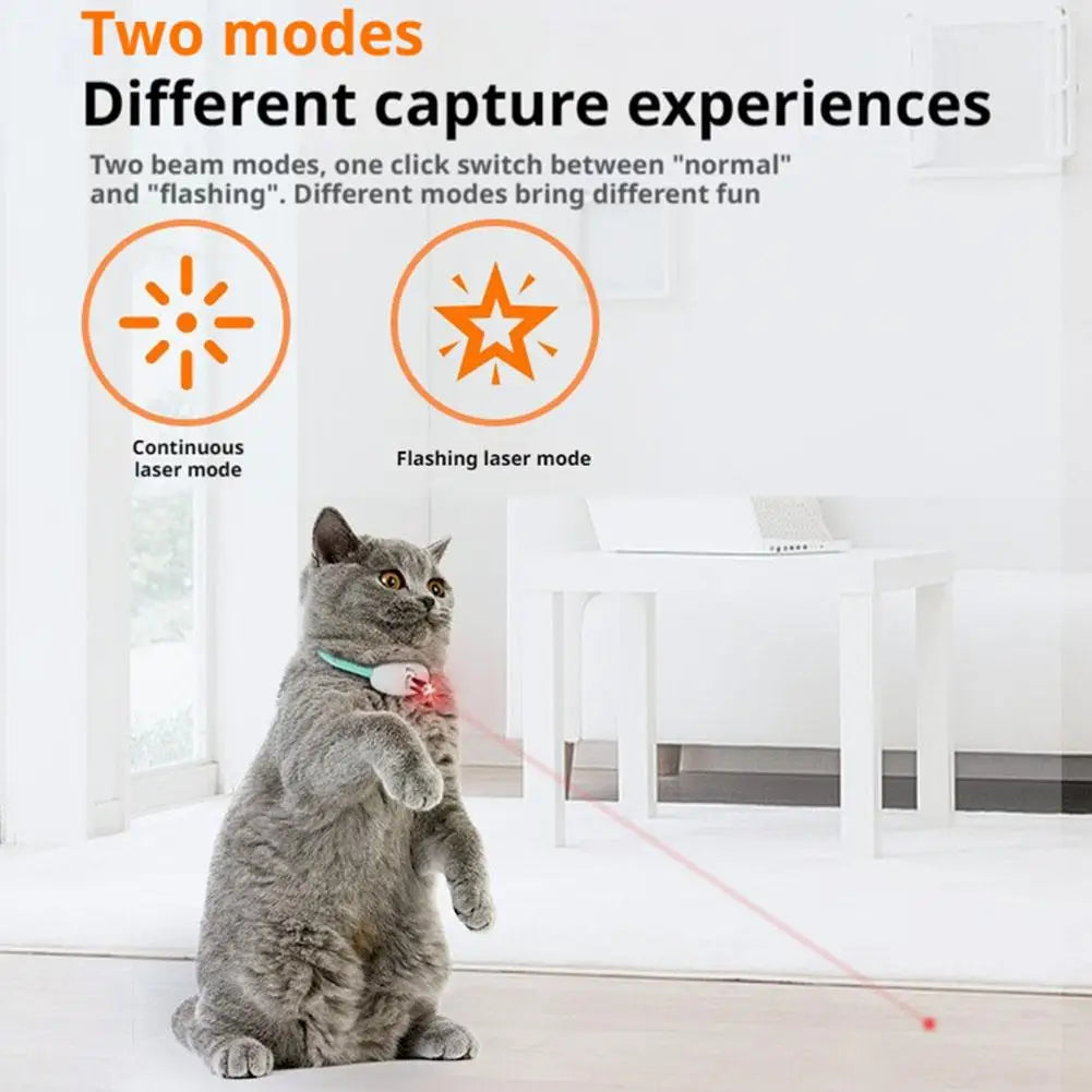 Collier laser interactif rechargeable pour chat