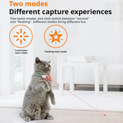Collier laser interactif rechargeable pour chat