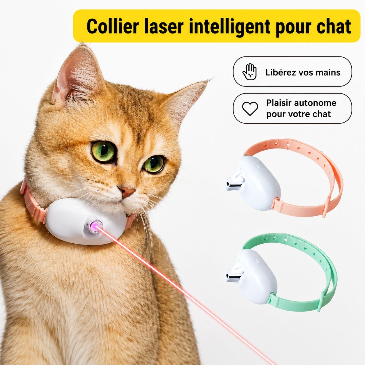 Collier laser interactif rechargeable pour chat