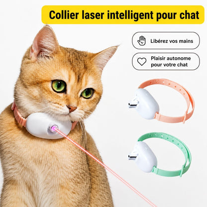 Collier laser interactif rechargeable pour chat