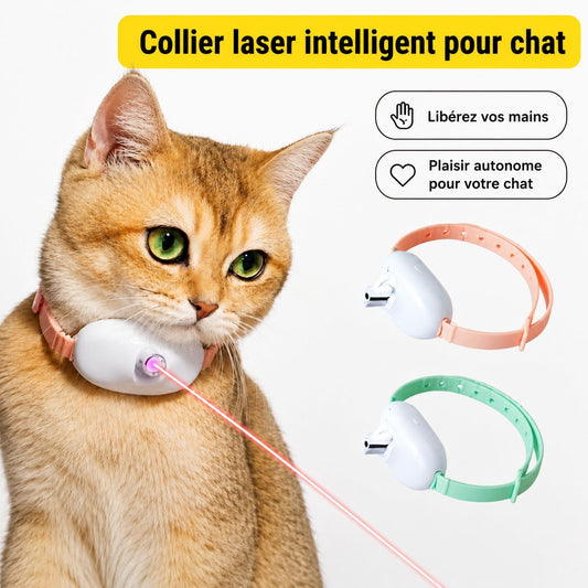 Collier laser interactif rechargeable pour chat