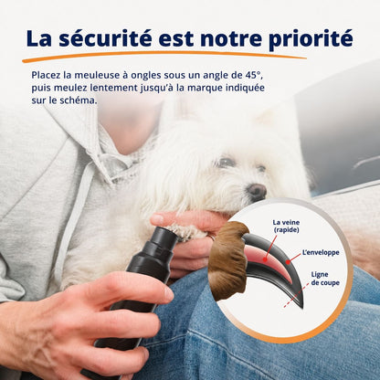 Lime à ongles électrique silencieuse pour chats et chiens