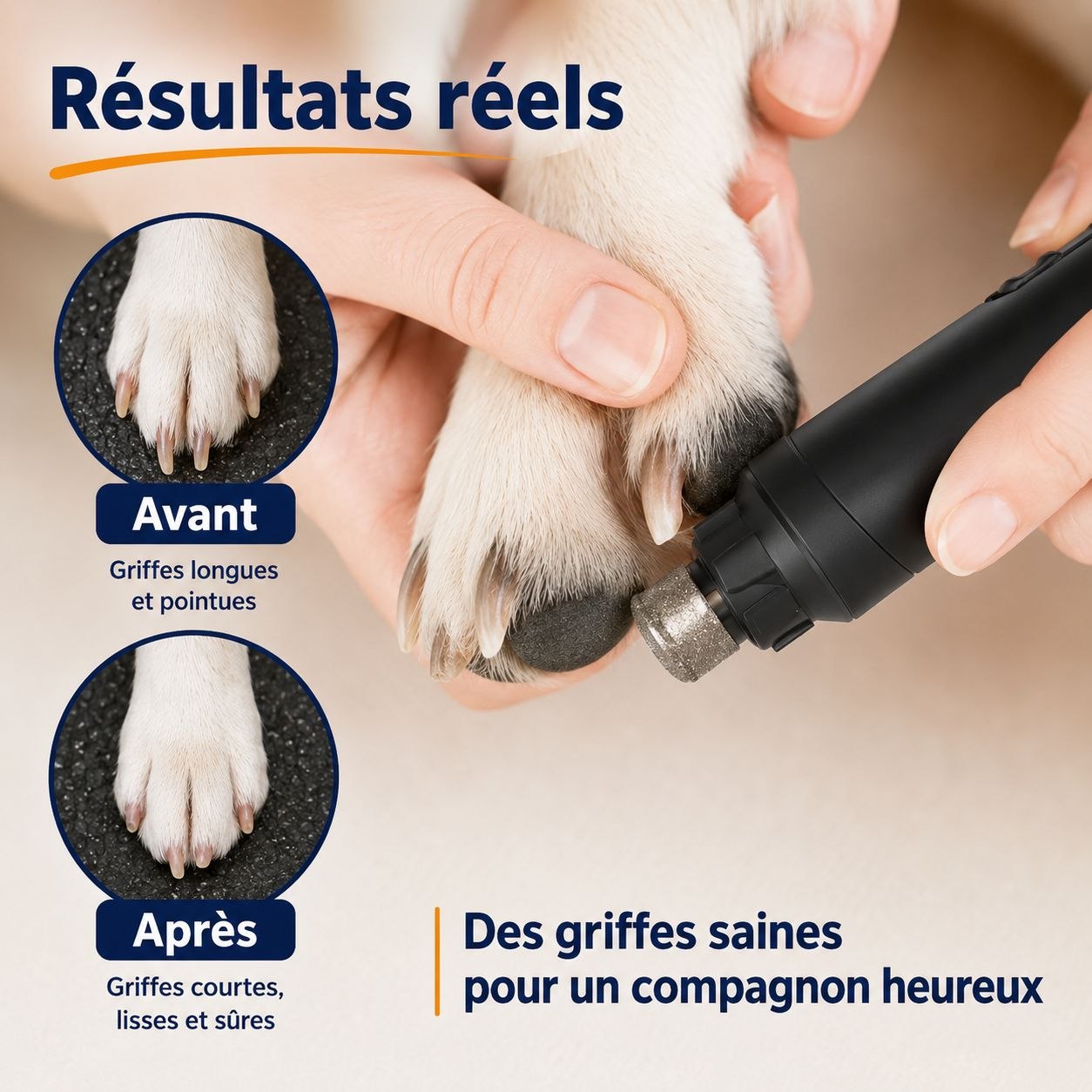 Lime à ongles électrique silencieuse pour chats et chiens
