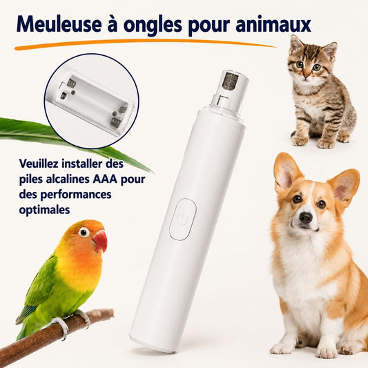 Lime à ongles électrique silencieuse pour chats et chiens