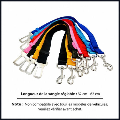 Ceinture de sécurité réglable pour chien en voiture