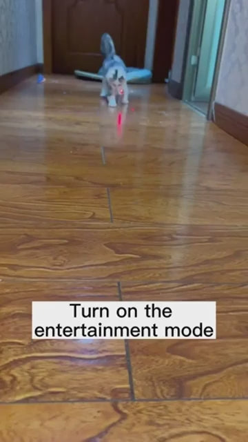 Collier laser interactif rechargeable pour chat